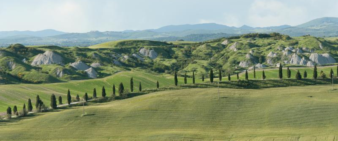 Francigena in valdorcia